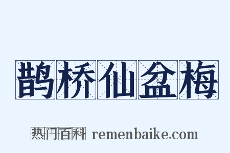 鹊桥仙盆梅是什么意思的图片